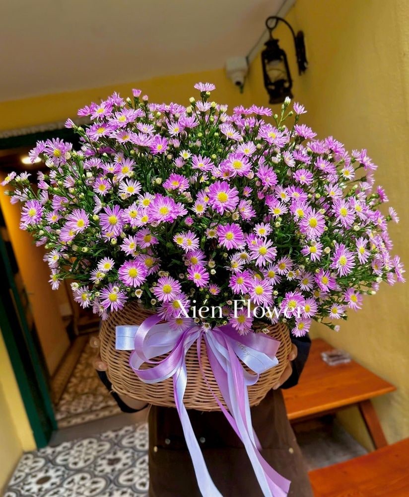 Giỏ Hoa Thạch Thảo Tím — Giỏ Hoa